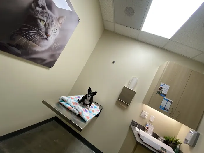 Vetco Total Care Animal Hospital Picture 4