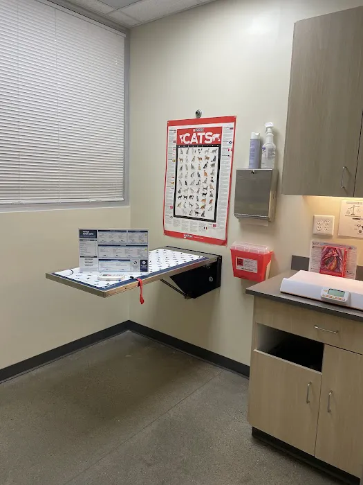 Vetco Total Care Animal Hospital Picture 10