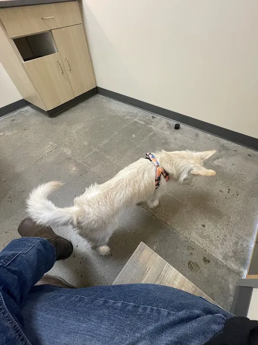 Vetco Total Care Animal Hospital Picture 8