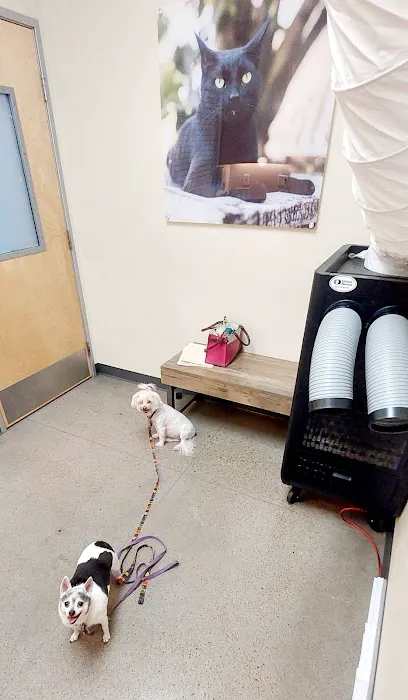 Vetco Total Care Animal Hospital Picture 6