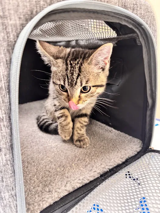 Vetco Total Care Animal Hospital Picture 7