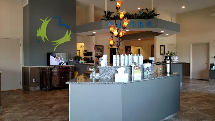 Dickinson Animal Hospital & Pet Wellness Center Picture 4