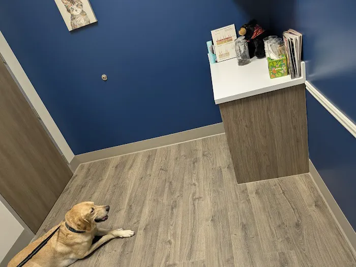 Clear Falls Animal Hospital Picture 6