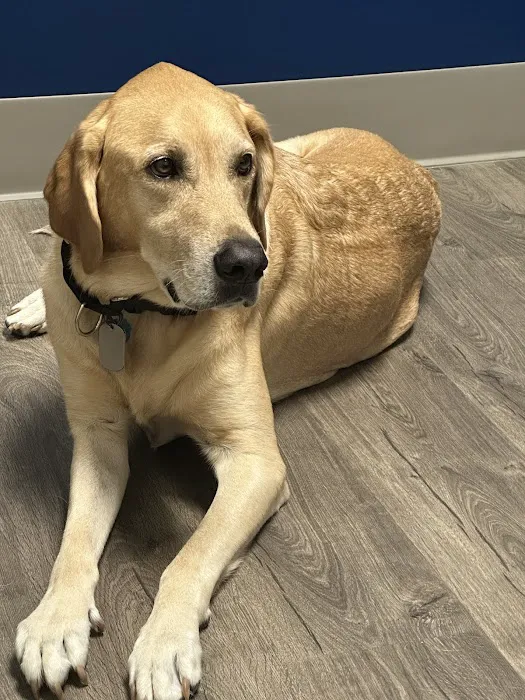 Clear Falls Animal Hospital Picture 1