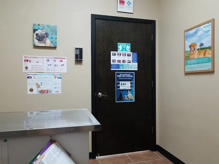 Animal House Veterinary Hospital Picture 1