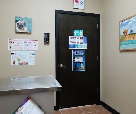 Animal House Veterinary Hospital