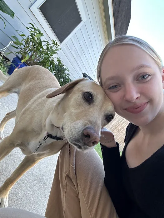 Egret Bay Veterinary Hospital Picture 5