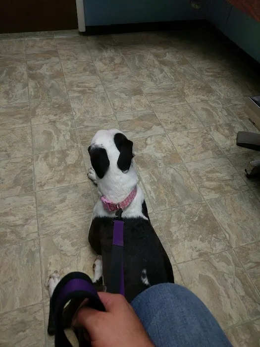 Veterinary Hospital of Alvin Picture 9