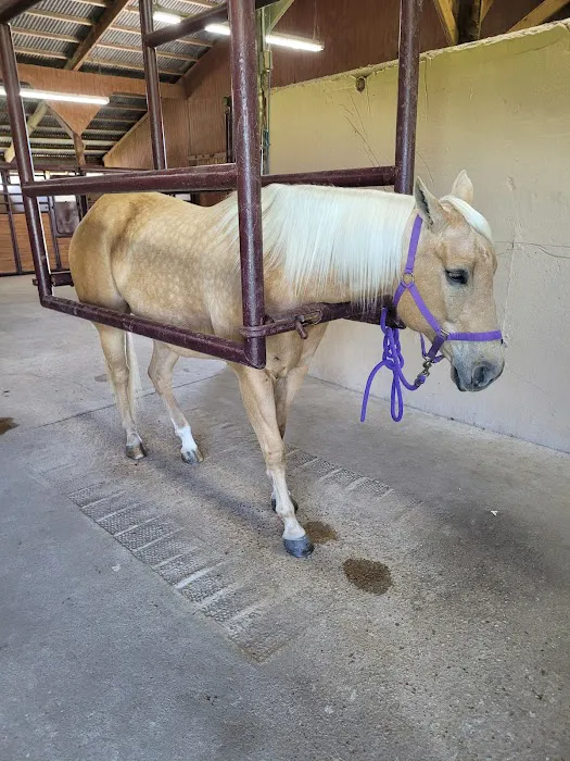 Gulf Coast Large Animal Clinic Picture 5
