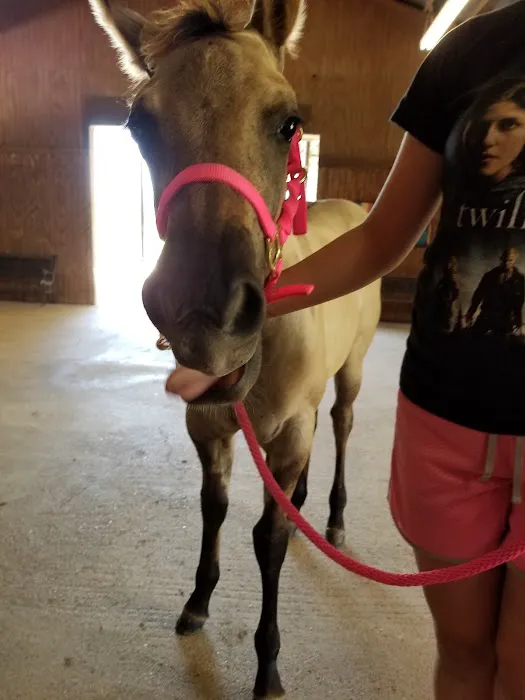 Gulf Coast Large Animal Clinic Picture 4