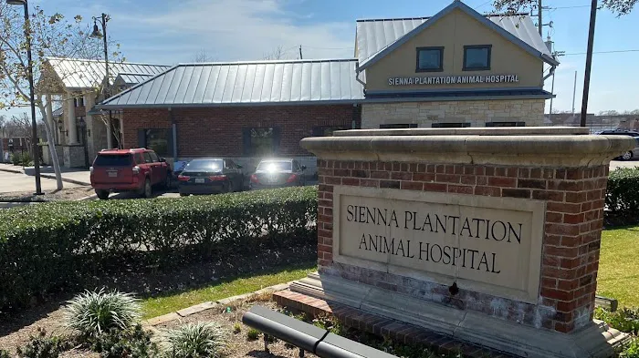 Sienna Plantation Animal Hospital Picture 1