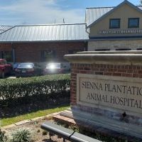 Sienna Plantation Animal Hospital ico