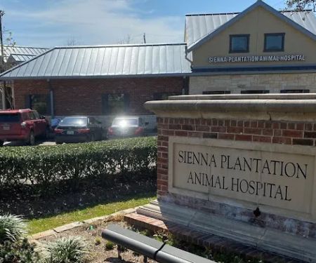 Sienna Plantation Animal Hospital