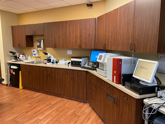 Sienna Plantation Animal Hospital Picture 7