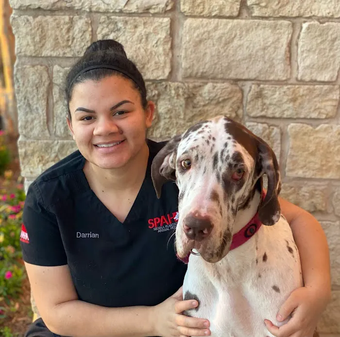 Sienna Plantation Animal Hospital Picture 2
