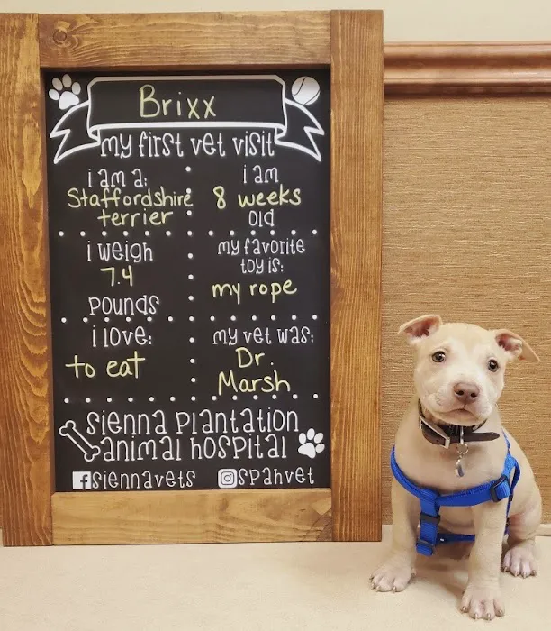 Sienna Plantation Animal Hospital Picture 4