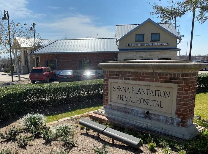 Sienna Plantation Animal Hospital Picture 9