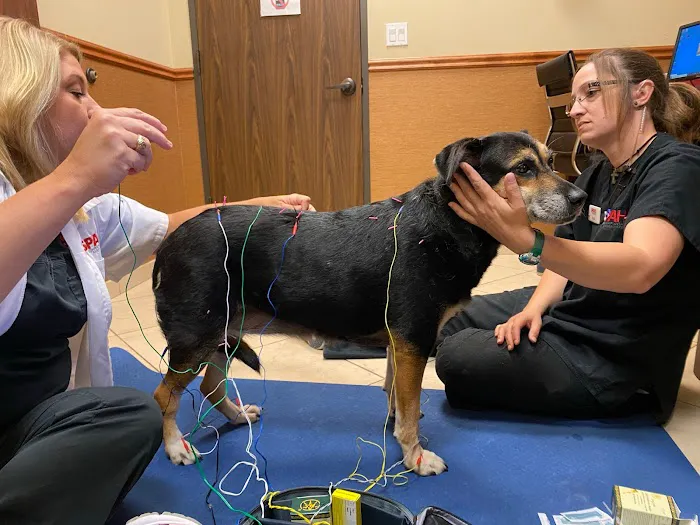 Sienna Plantation Animal Hospital Picture 8