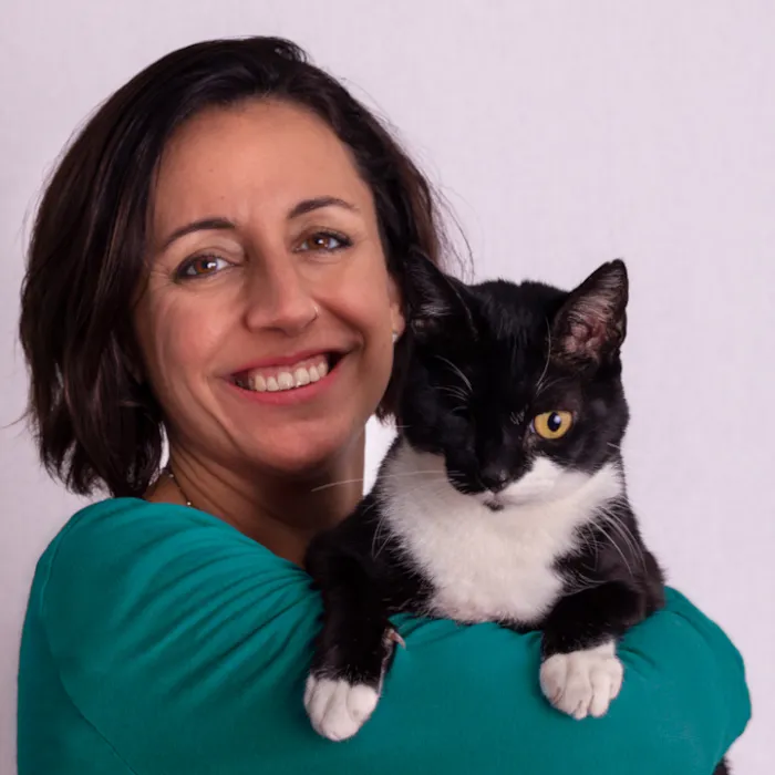 PangoVet Picture 4