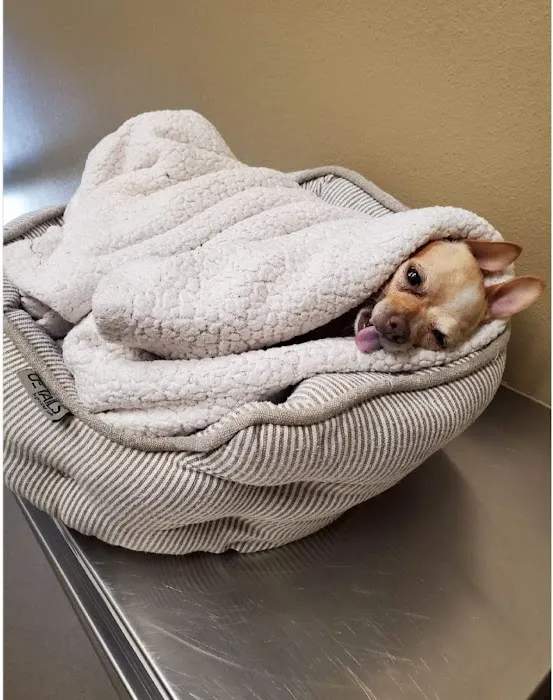 MarQueen Pet Emergency & Specialty Picture 7