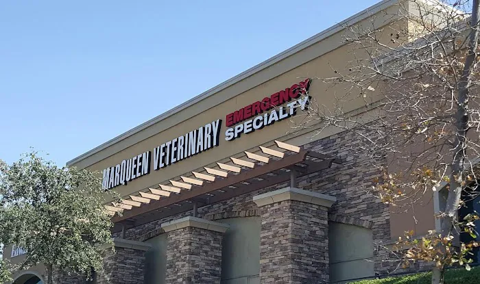 MarQueen Pet Emergency & Specialty Picture 1