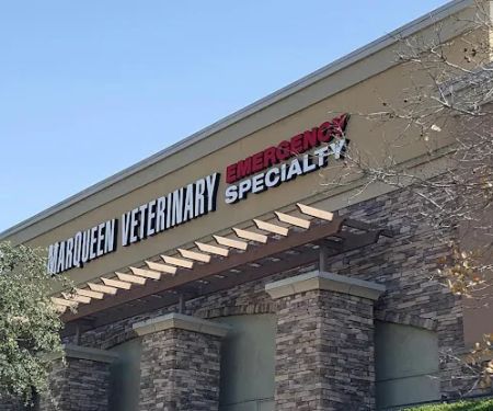 MarQueen Pet Emergency & Specialty