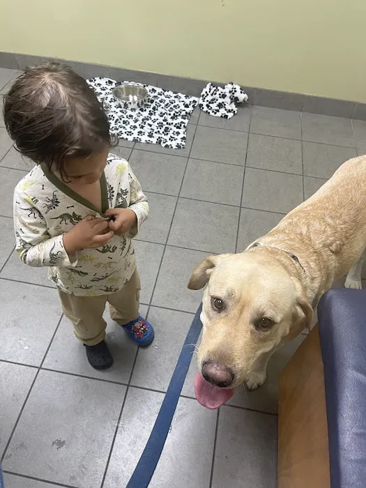 Douglas Boulevard Veterinary Clinic Picture 7