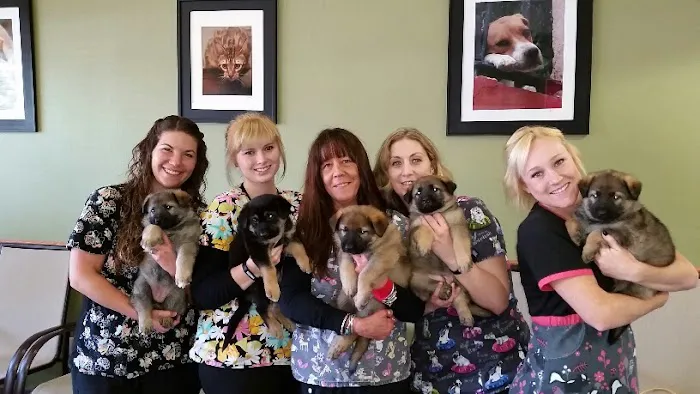 Douglas Boulevard Veterinary Clinic Picture 3