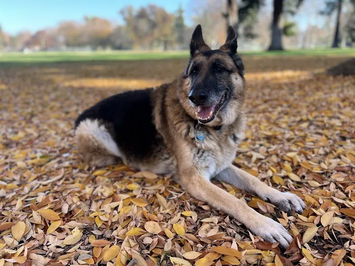 Sierra Ranch Veterinary Clinic & Pet Rehabilitation Center Picture 6