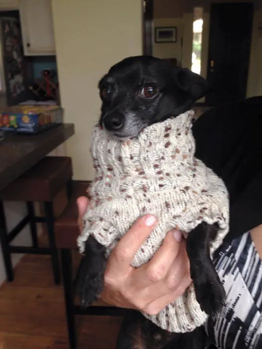 Stonebridge Veterinary Wellness Picture 6