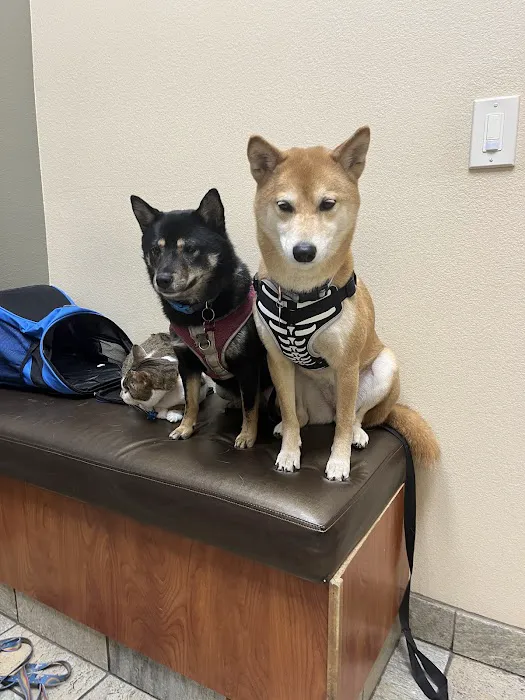 Rocklin Ranch Veterinary Hospital & Urgent Care Picture 4