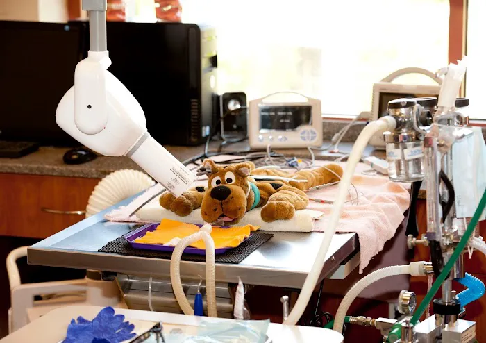 Rocklin Ranch Veterinary Hospital & Urgent Care Picture 5