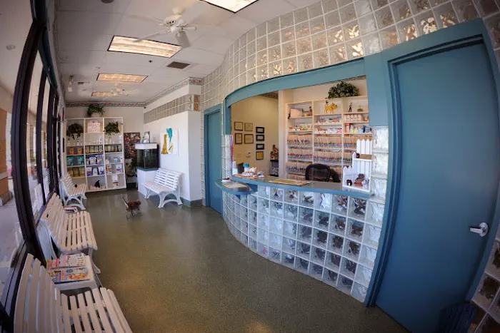 Willow Rock Pet Hospital Picture 8