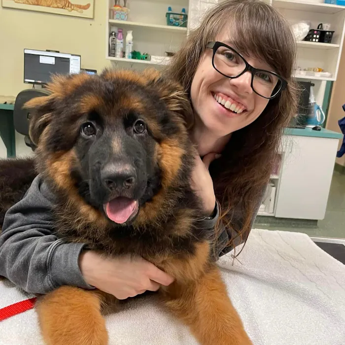 Willow Rock Pet Hospital Picture 10