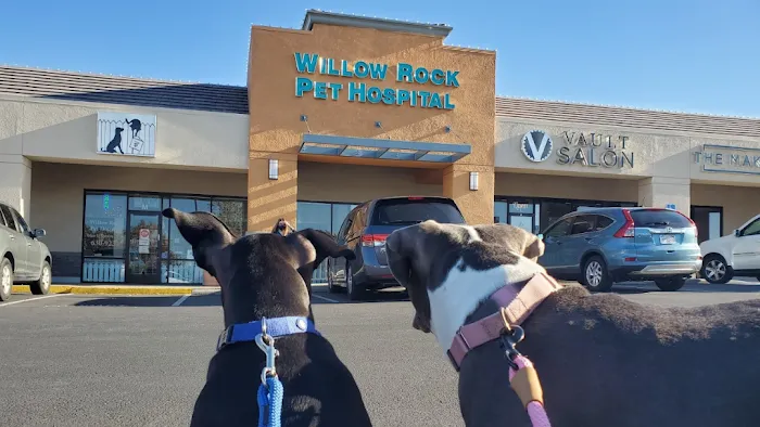 Willow Rock Pet Hospital Picture 9