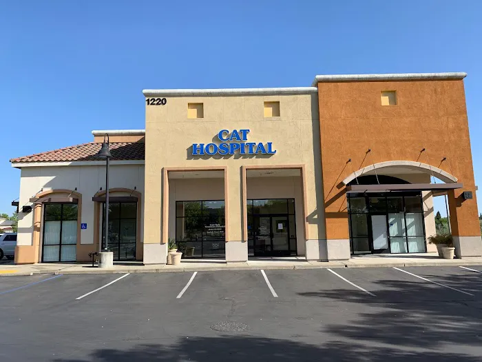 Cats Only Veterinary Hospital Picture 2