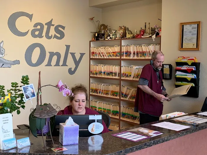 Cats Only Veterinary Hospital Picture 4