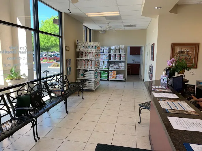 Cats Only Veterinary Hospital Picture 9
