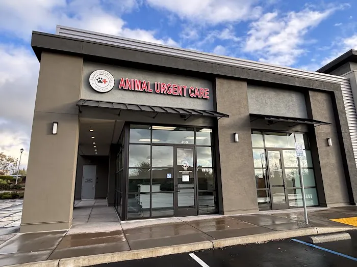 Animal Urgent Care of Rocklin Picture 8
