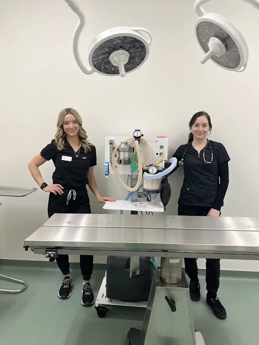 Animal Urgent Care of Rocklin Picture 2
