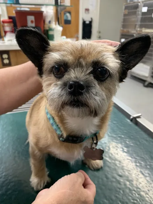 Rocklin Ranch Veterinary Hospital at Pacific Street Picture 6