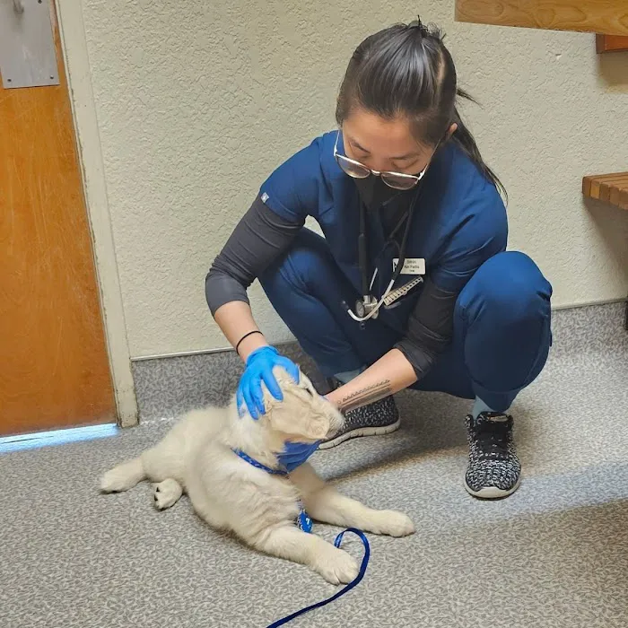 Rocklin Ranch Veterinary Hospital at Pacific Street Picture 9