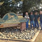 Hunter Stallion Sta Equine Vet