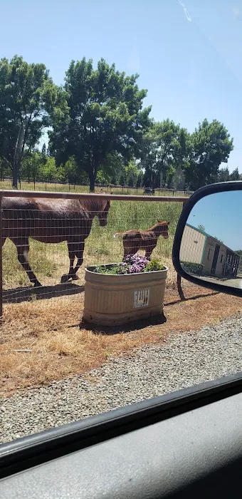 Badger Creek Veterinary Clinic Picture 8