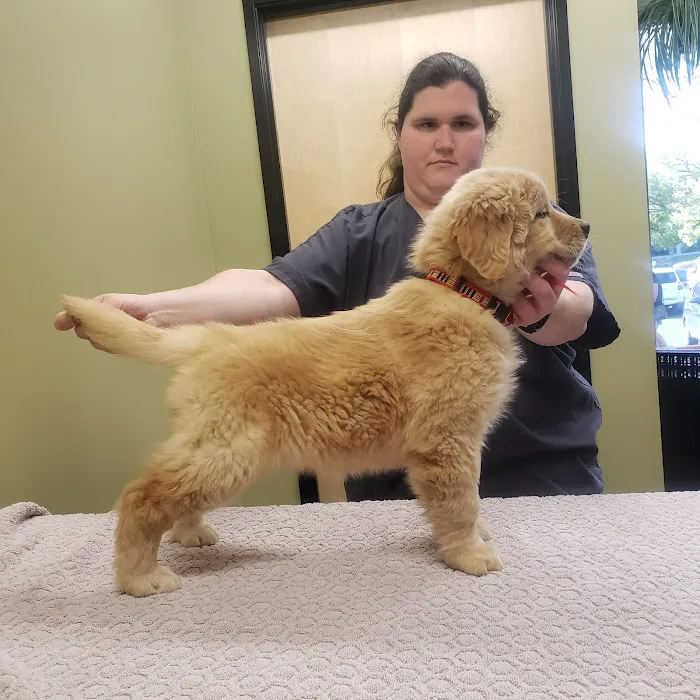 Willow Creek Veterinary Clinic Picture 4
