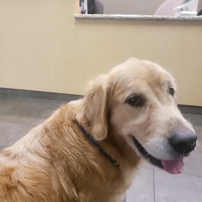Willow Creek Veterinary Clinic Picture 3