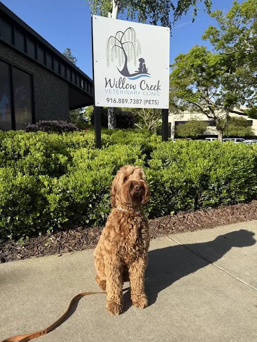 Willow Creek Veterinary Clinic Picture 7