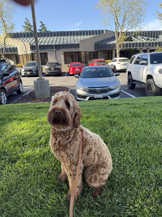 Willow Creek Veterinary Clinic Picture 9