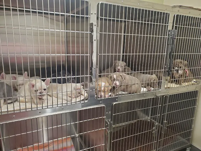 Willow Creek Veterinary Clinic Picture 8
