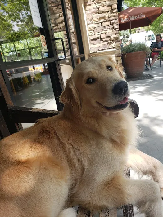 Orangevale Veterinary Hospital Picture 8